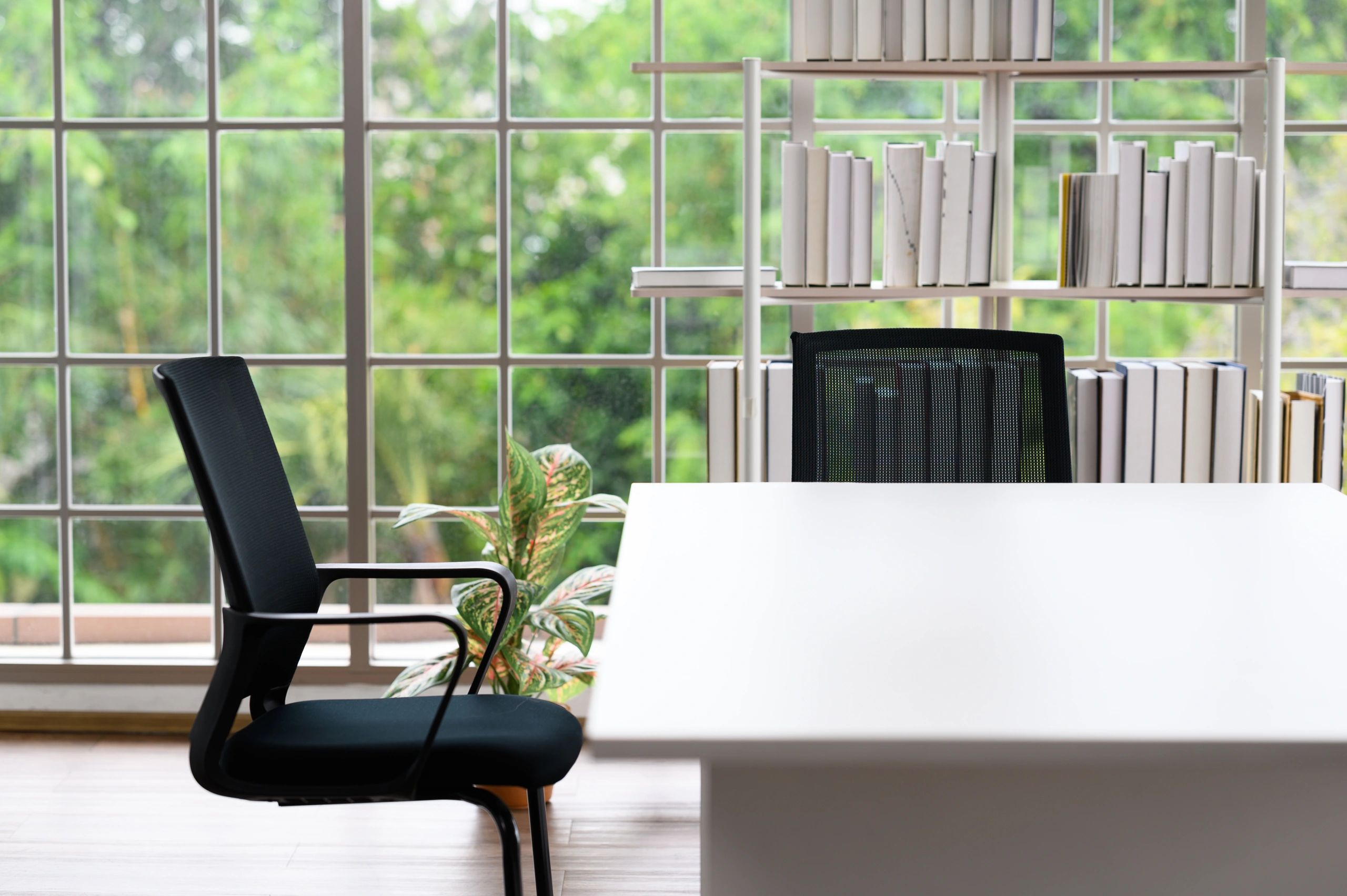 Calm consultation room with desk, chair and natural outlook
